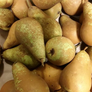 Poires en vrac au kilo