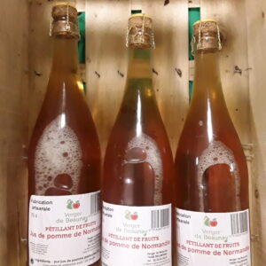 3 bouteilles de jus de pommes pétillants 75cl