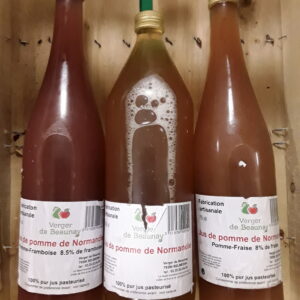 3 bouteilles de jus de pommes nature 75cl