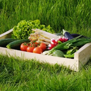 Distribution du 12/03/2026