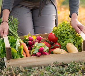 Distribution du 26/03/2026